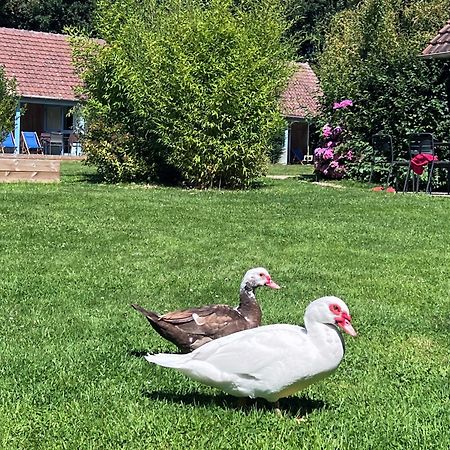 Le Pre Marin Villa Sotteville-sur-Mer Dış mekan fotoğraf
