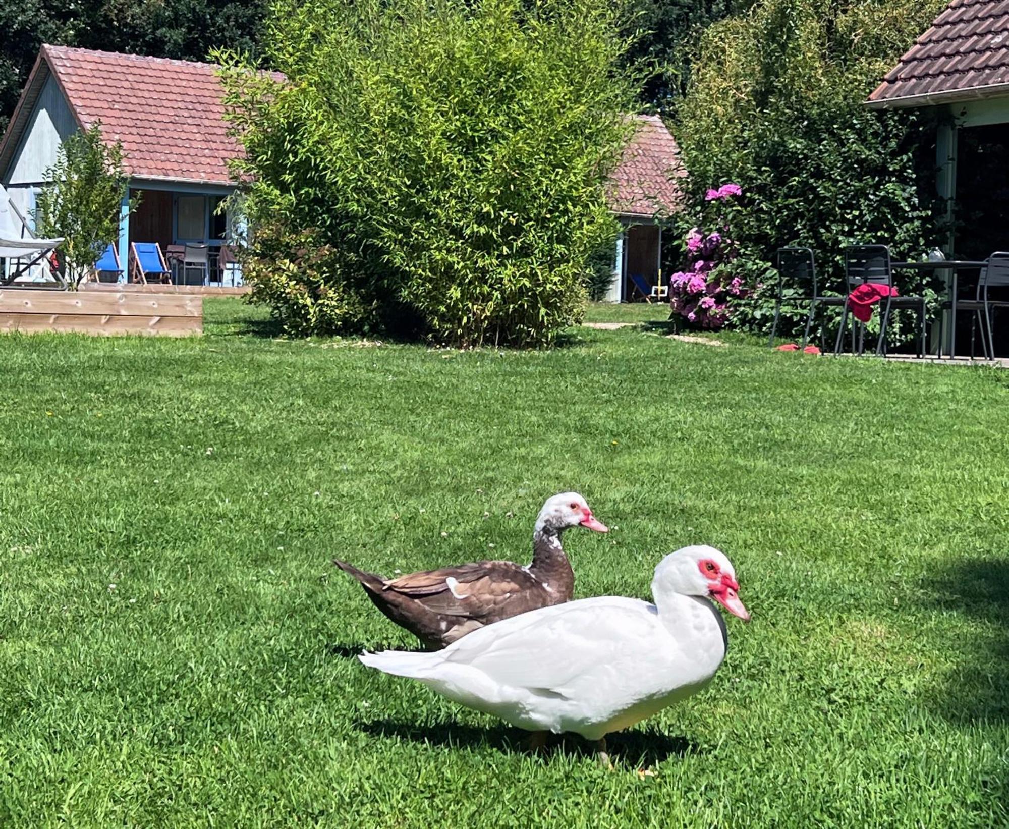 Le Pre Marin Villa Sotteville-sur-Mer Dış mekan fotoğraf